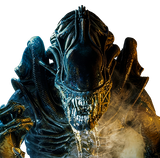 Absentee Pack - Armageddon Auckland October 2026 - Carl Troop-- Alien Warrior 